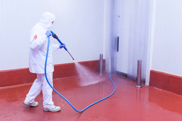 Best Deck and Patio Pressure Washing in Terre Haute, IN