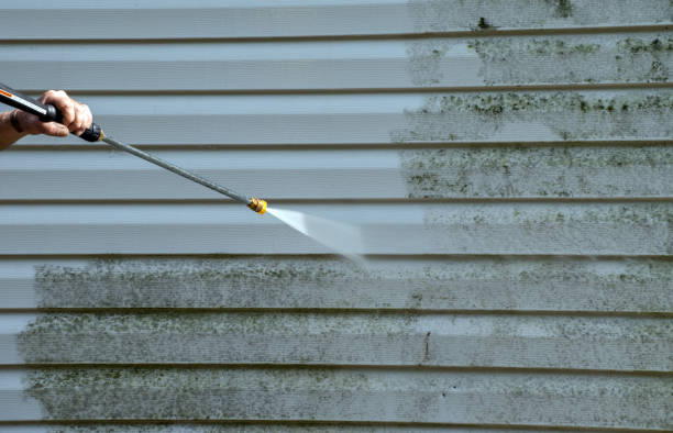 Best Fence Cleaning and Maintenance in Terre Haute, IN